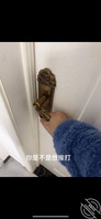 这几天妈妈总是拒绝我(预告)0