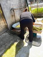 偷拍婶婶
