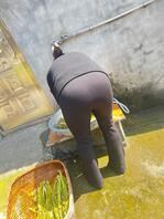 偷拍婶婶2