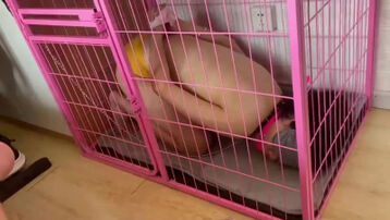 母狗不听话就关进狗笼，评论区寻找4p，剩余2位