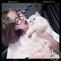 谁能教我怎么发视频。不会呀？发错了出来0