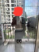 湛江附近寻找熟女阿姨妈妈保姆奶妈干妈绿母儿和绿帽男和真实乱伦母子玩乱伦