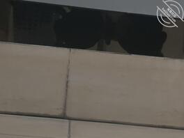 偷拍大学女生上厕所