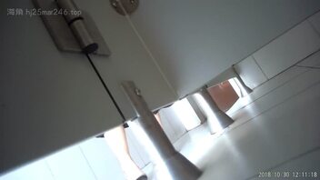 转载厕拍66
