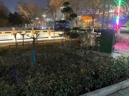 调教母狗亲妹妹日记1(改了个名字 以后再发帖子就叫这个名字了)2