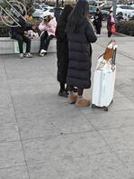 三个美腿美女2
