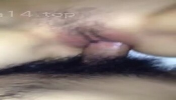 石家庄极其周边，找绿帽，人妻，阿姨少妇，各取所需