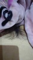 刚才第一次发，反响很一般。就没有欣赏的？