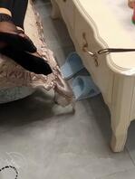 想迷奸小姨妈，求各位大神指点2