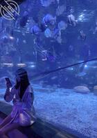 我在上大二姐姐的手机里发现了一些秘密2