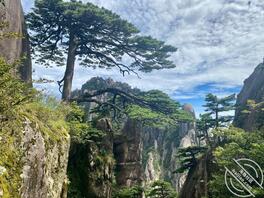 坐标杭州，01的，172身高，找友友可私聊1