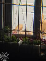 对面楼另一家熟女0