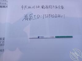 老婆和儿子《十三》老婆怀孕了，解释一下为啥不更，发泄情绪！2