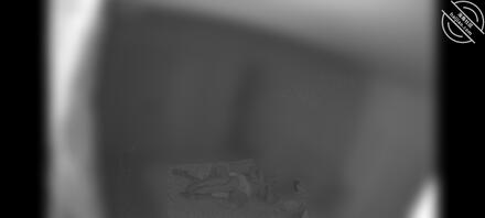 一个恋母癖的日常（3）亲嘴2