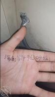 16. 爸爸在隔壁操妈妈,我在这里操妹妹0