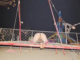 男娘露出0