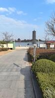 青岛公园露出