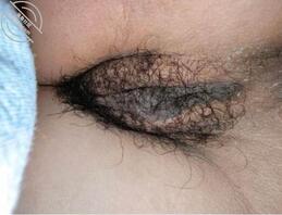 前女友的黑骚穴0