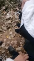 【熟女之恋】48、在河边让两个骚货给我口鸡巴1
